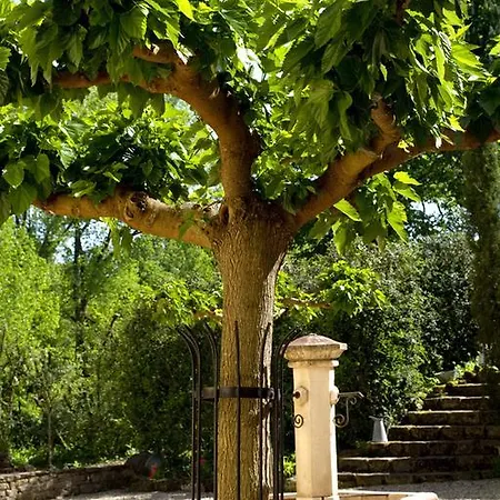 Bed and Breakfast Chateau La Roussille Cordes Sur Ciel